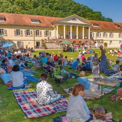Klassikpicknick (Foto: Reinhold Bauer)