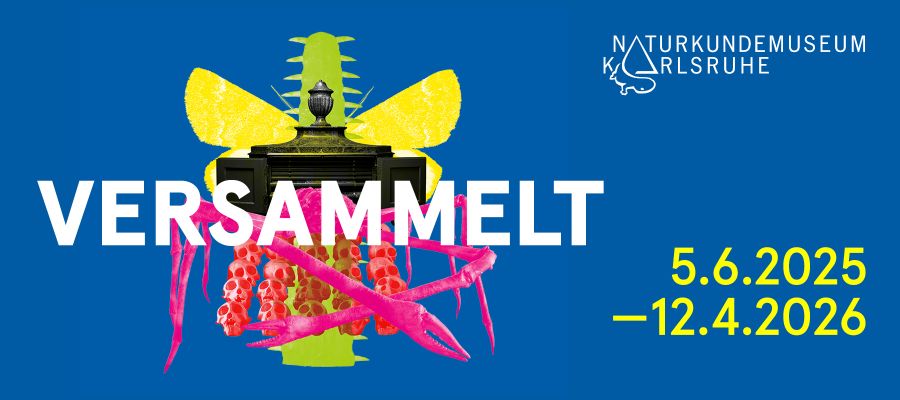 WERBUNG: SMNK-Sonderausstellung „Versammelt“ vom 5.6.-12.4.26