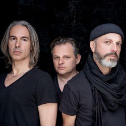 Selig (Foto: Sven Sindt)