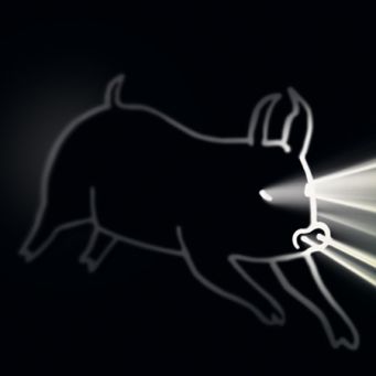 Lichtkunstwettbewerb für „Schwein gehabt“