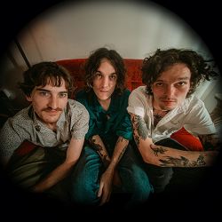 The Tazers