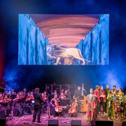 Der König der Löwen