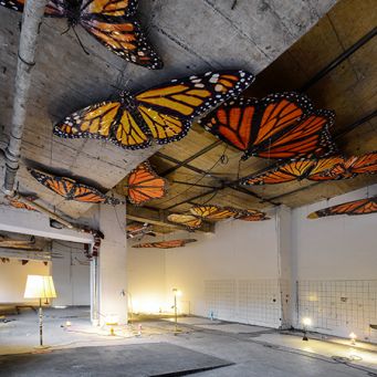 Lea Gocht – „Anhedonia“, 2024, Galerie Brutal, Hannover