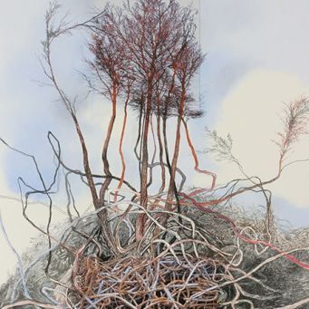 Agnes Märkel – „Nachwachsende Rohstoffe“, 2022, Pastell & Fotocollage auf Papier 61 x 86 cm