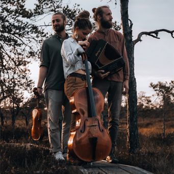 Hartwin Trio (Foto: Mick Pedaja)