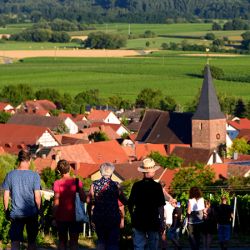 Grenzenlos Wein