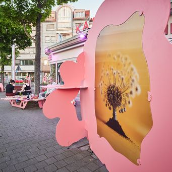 Flora Momentum (Foto: Sebastian Heck)