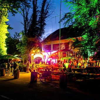 Good Earth Vibes Festival