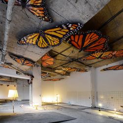 Lea Gocht – „Anhedonia“, 2024, Galerie Brutal, Hannover