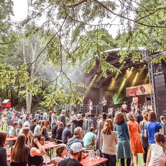 Watthalden Festival (Foto: Felix Grünschloß)